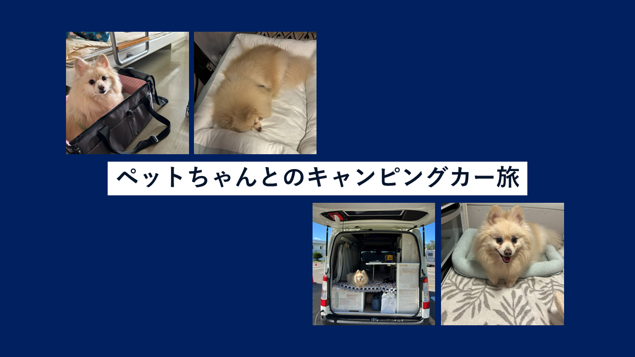 ペットちゃんとのキャンピングカー旅🐶